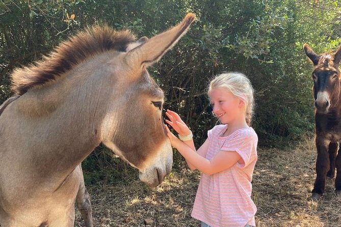 Alberobello by E-Bike. Trulli, Countryside, Mill, and Donkeys - Sipping Local Wine