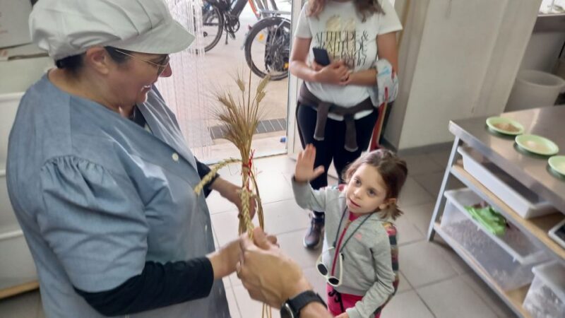 Alberobello E-Bike Tour, Trulli, Mill and Donkey Farm - Activity Highlights