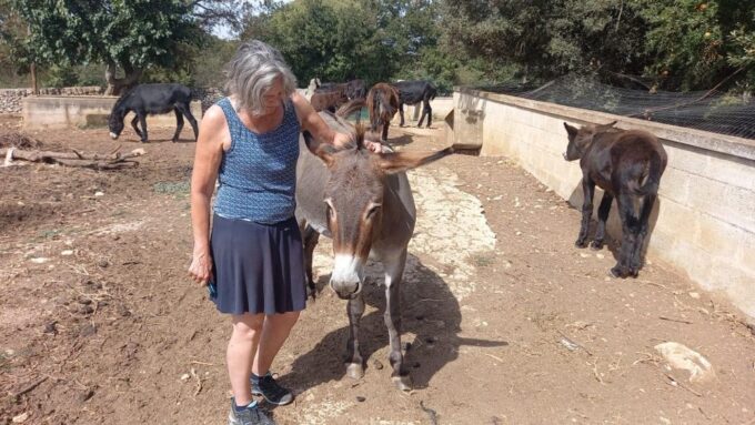 Alberobello E-Bike Tour With Visit to a Donkey Farm - Enjoyable E-Bike Ride