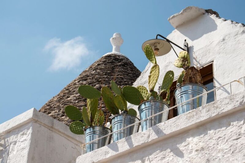 Alberobello & Matera in 1 Day! Group Tour From Bari - Key Points
