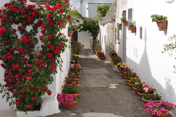 Alberobello & Ostuni & Polignano a Mare - Highlights of Alberobello