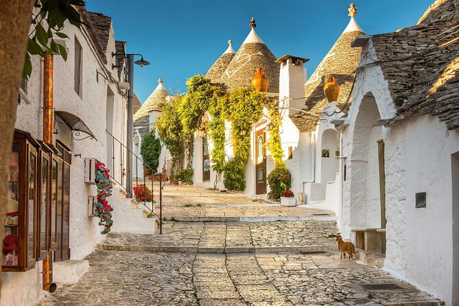 Alberobello, Polignano and Monopoli Tour Lasting 8 Hours - Tour Schedule