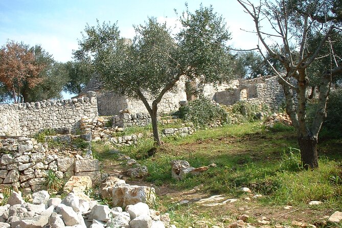 Alberobello - Unusual and Instagrammable Trulli - Urban Trail - Tour Pricing Details