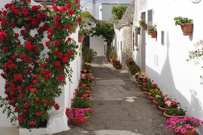 Alberobello With a Local Tour Guide! - Tour Overview