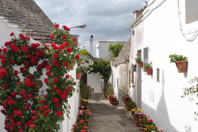 Alberobello With a Local Tour Guide!(Shared Tour Max.15 Pax) - Meeting Information
