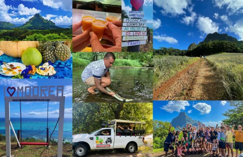 Albert Tours Excursion Safari - Moorea Safari tours&pick up - Key Points