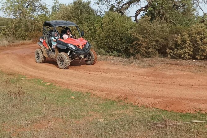 Albufeira 1 Hour Off-Road Tour Buggy Adventure Tour - Participation Requirements
