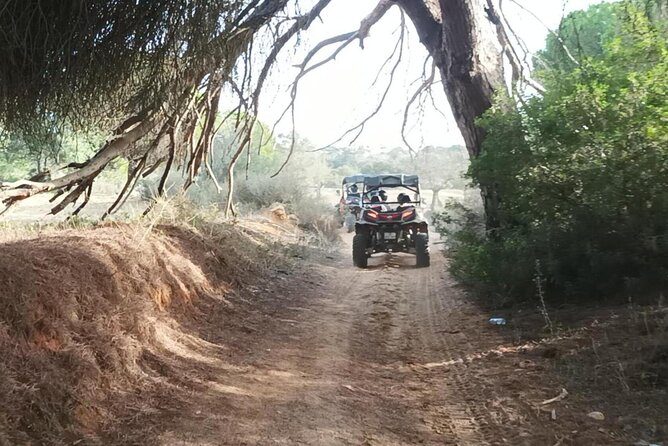 Albufeira 1 Hour Off-Road Tour Buggy Adventure Tour - Tour Experience