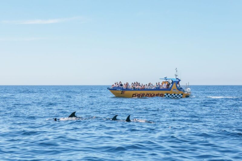 Albufeira: 2.5-Hour Benagil Caves & Dolphin Watching - Customer Feedback and Ratings