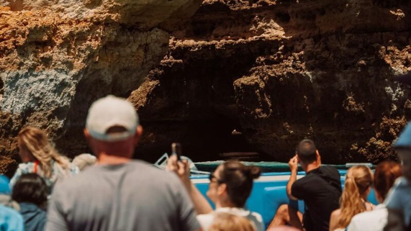 Albufeira: 2.5-Hour Dolphin Watching and Caves Trip - Itinerary and Highlights