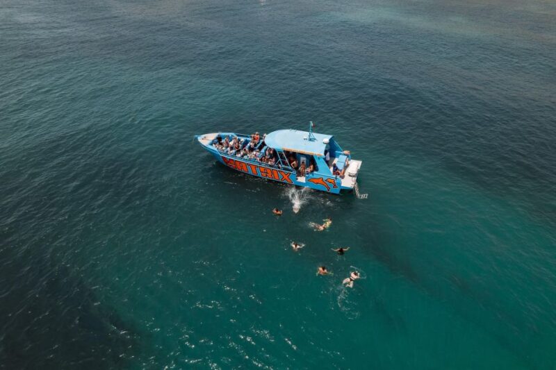 Albufeira: 2.5-Hour Dolphin Watching and Caves Trip - Customer Feedback