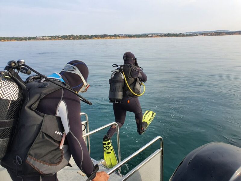 Albufeira: 2 DIVES TRIP (ONLY CERTIFIED DIVERS) - Diving Experience