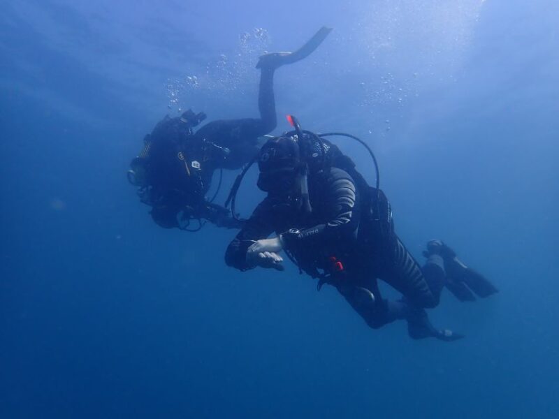 Albufeira: 2 DIVES TRIP (ONLY CERTIFIED DIVERS) - Participant Requirements