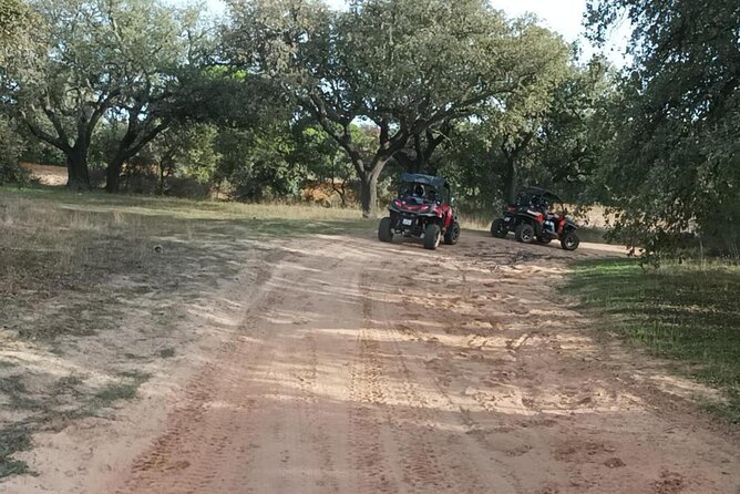 Albufeira 2 Hour Off-Road Tour Buggy Adventure Tour - Reviews