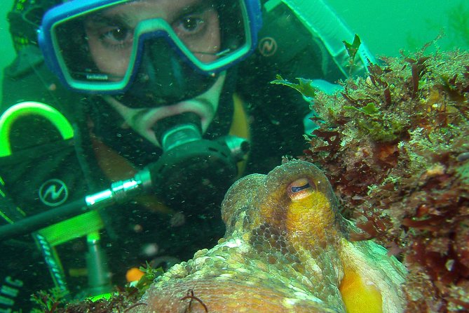 Albufeira 2 Reef Dives (QUALIFIED DIVERS) - Meeting Point