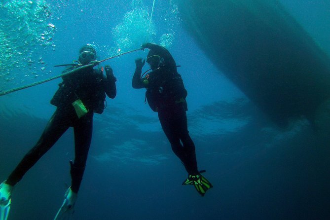 Albufeira 2 Reef Dives (QUALIFIED DIVERS) - Schedule & Requirements