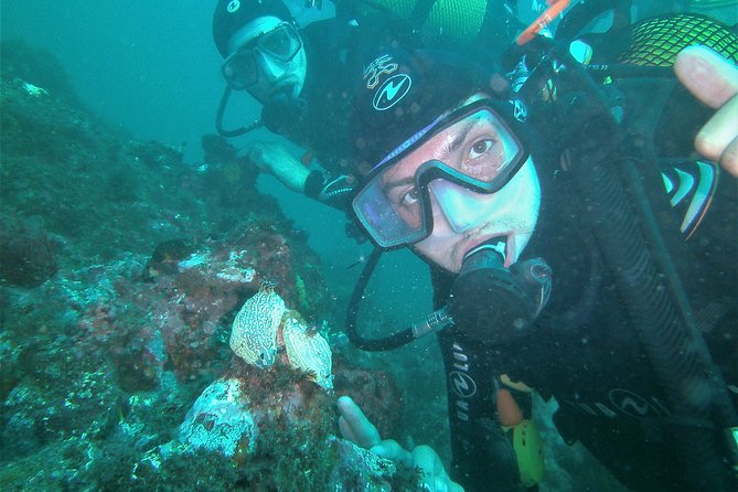 Albufeira 2 Reef Dives (QUALIFIED DIVERS) - What to Expect