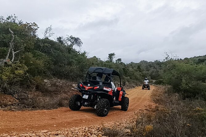 Albufeira 3.5 Hour Off-Road Tour Buggy Adventure Tour - Petrol and Deposit