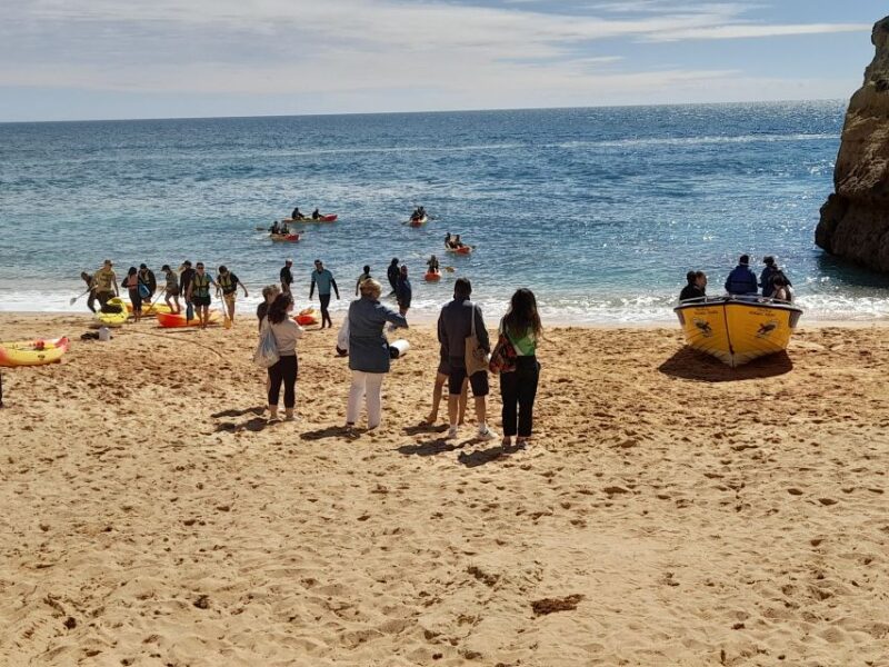 Albufeira: Algarve Cliffs and The Chapel of Bones Tour - Key Points