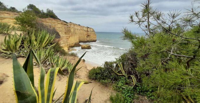 Albufeira: Algarve Cliffs and The Chapel of Bones Tour - Benagil Cave Boat Tour