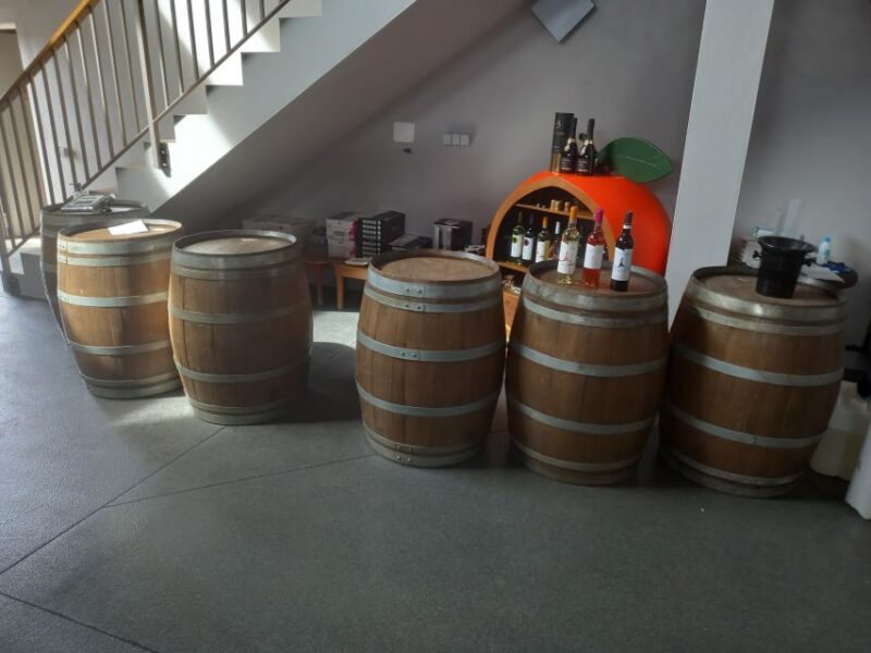 Albufeira: Algarve Coast Guided Tour With Wine Tasting - Participant Information