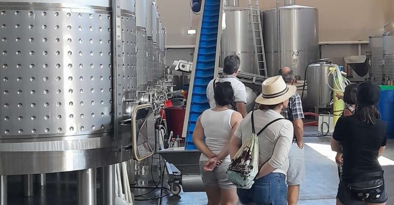 Albufeira: Algarve Coast Guided Tour With Wine Tasting - Key Points