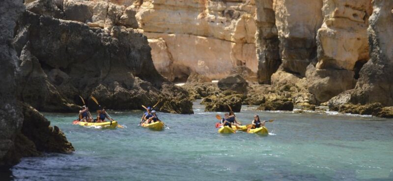 Albufeira: Algarve Kayak and Coastline Tour - Activity Highlights