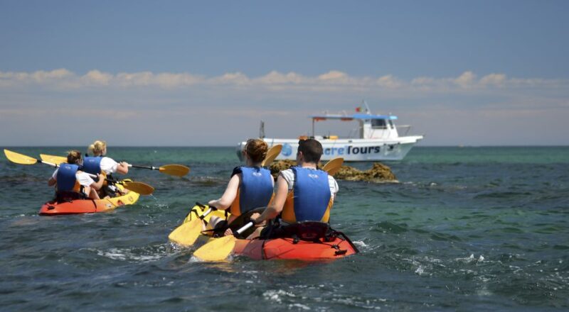 Albufeira: Algarve Kayak and Coastline Tour - What to Expect