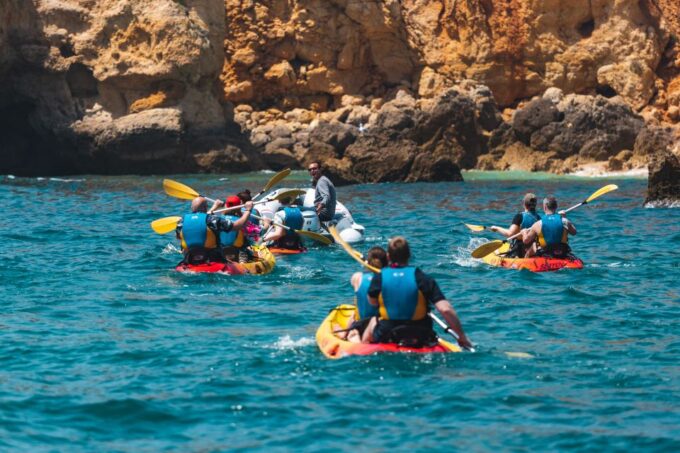 Albufeira: Algarve Kayak and Coastline Tour - Important Information