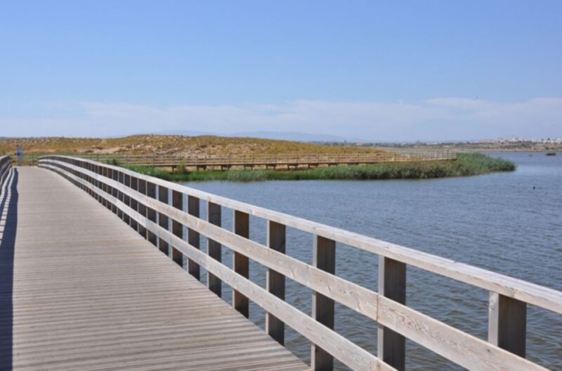 Albufeira: Beaches, Old Town, and Salgados Lagoon Jeep Tour - Transportation and Pickup