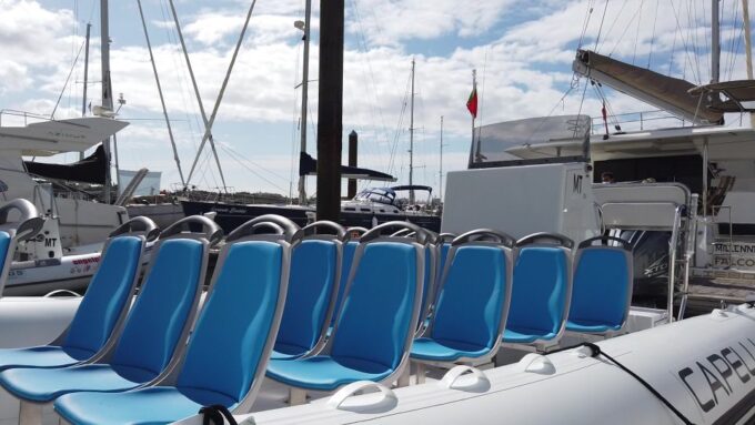 Albufeira: Benagil Cave and Dolphin Sightseeing Boat Cruise - Departure Location and Timing