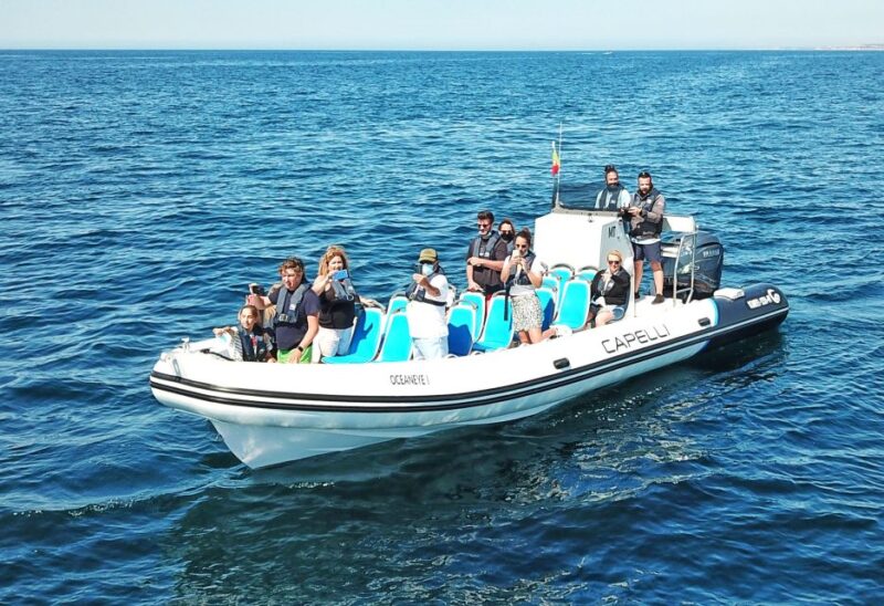 Albufeira: Benagil Cave and Dolphin Sightseeing Boat Cruise - Customer Reviews and Ratings