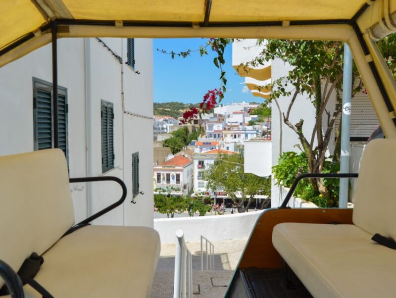 Albufeira: City Sightseeing & Beaches Tour - Experience Highlights