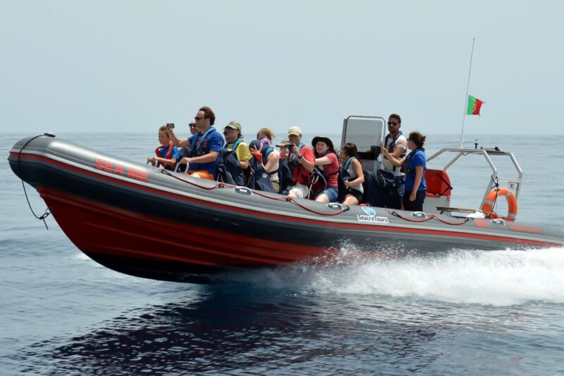Albufeira: Dolphin Watching and Benagil Cave Boat Cruise - Visiting the Iconic Benagil Cave
