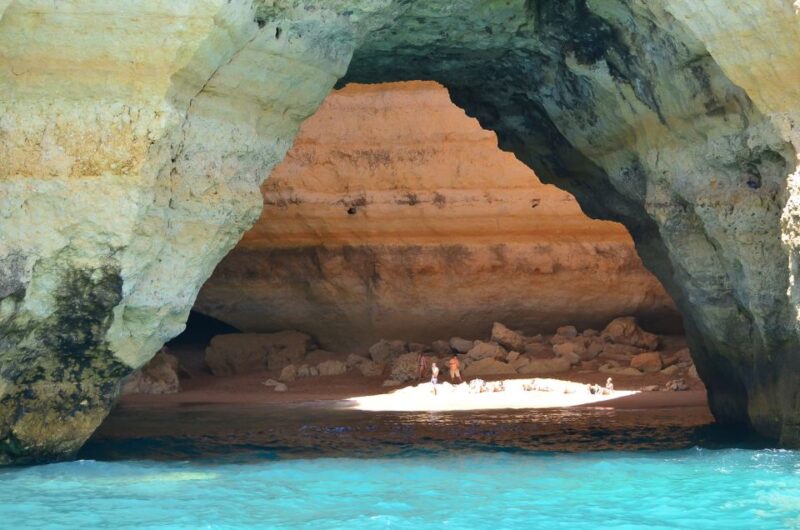Albufeira: Dolphin Watching and Benagil Cave Boat Cruise - Onboard Experience With Marine Biologist