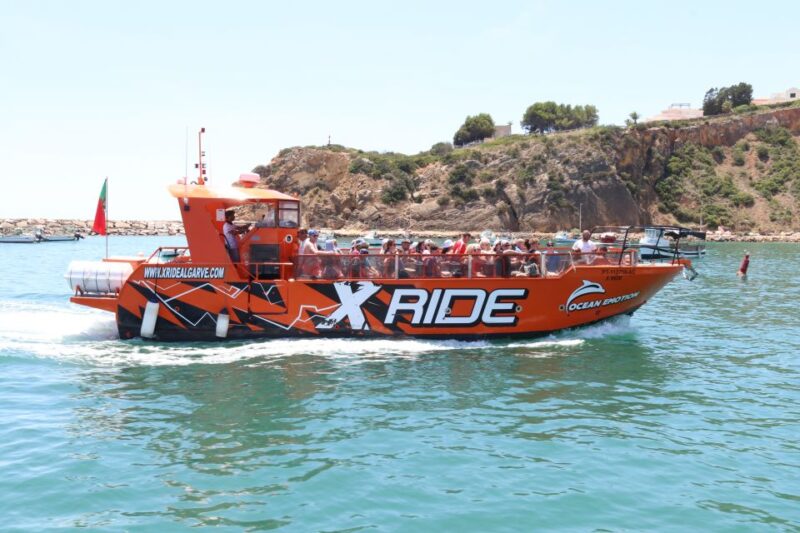 Albufeira: Dolphin Watching and Benagil Cave - Experience Highlights