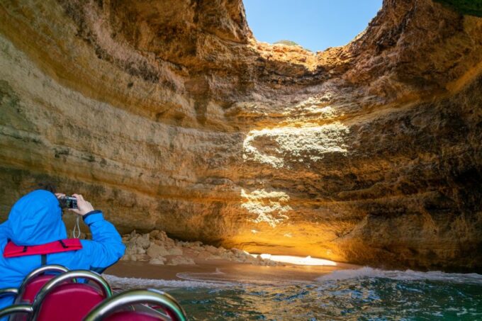 Albufeira: Dolphins, Benagil Caves and Coastline Boat Tour - Encountering Dolphins in Their Habitat