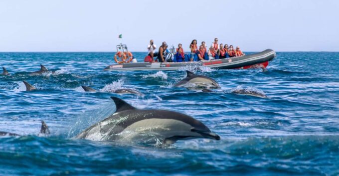 Albufeira: Dolphins, Benagil Caves and Coastline Boat Tour - Exploring Dramatic Caves and Coastline