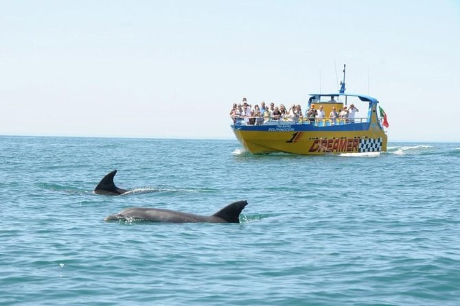 Albufeira Dreamer Boat Trip - Boat Features