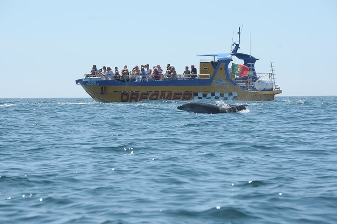 Albufeira Dreamer Boat Trip - Reviews and Excellence