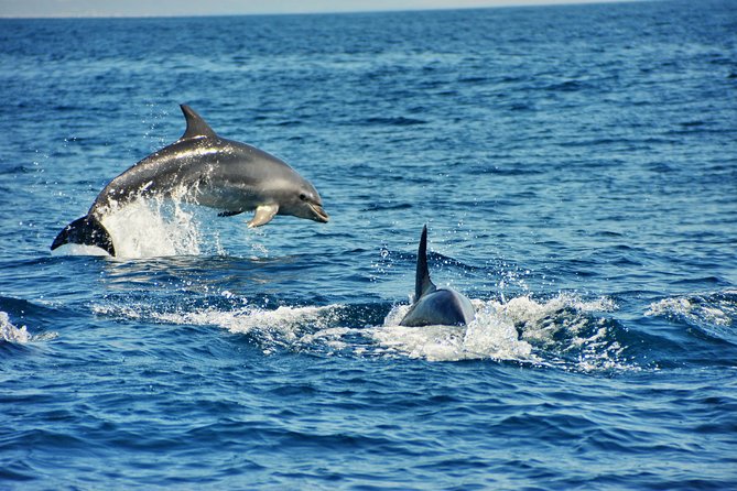 Albufeira Dreamer Boat Trip - Meeting Point and Duration