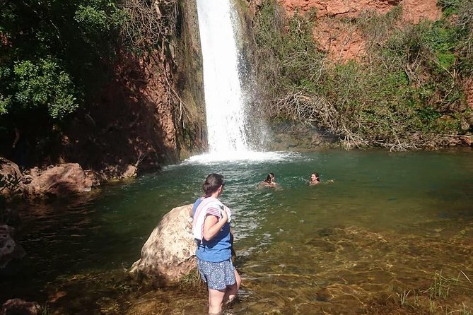 Albufeira (FULL DAY) Jeep Safari Tour - Health and Safety Protocols