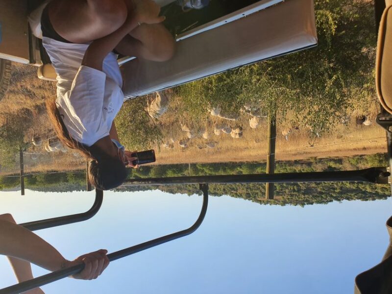 Albufeira: Full Day Safari Excursion in Algarve Mountains - Pickup and Transportation