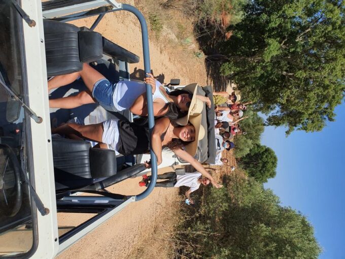 Albufeira: Full Day Safari Excursion in Algarve Mountains - Important Information