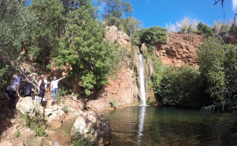 Albufeira: Half-Day Algarve Jeep Safari - Inclusions