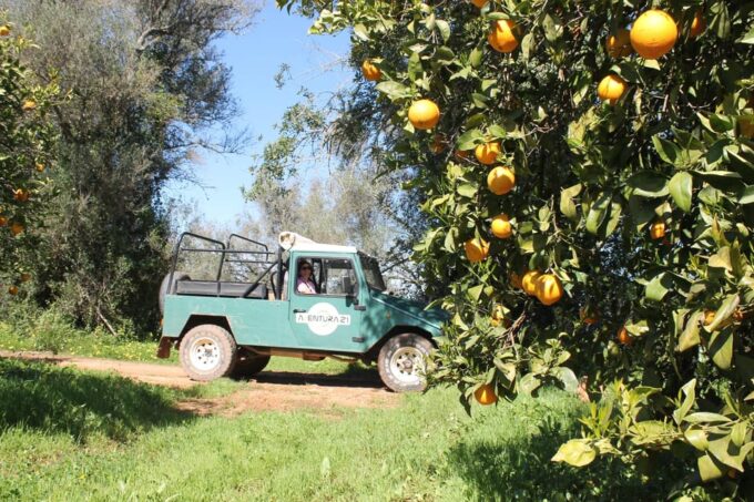 Albufeira: Half-Day Jeep Safari With Zoo - Recap