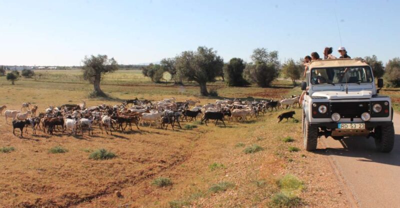 Albufeira: Jeep Safari Half-Day Countryside Tour - Paderne Exploration