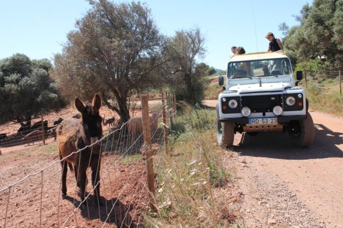 Albufeira: Jeep Safari Half-Day Countryside Tour - Booking Information