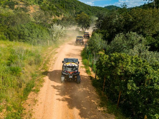 Albufeira: Off-Road Buggy Adventure - Safety Considerations