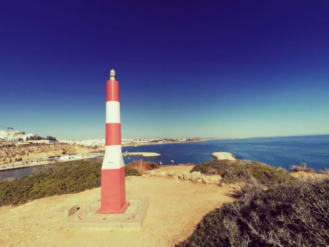 Albufeira Private Tours - Language Options